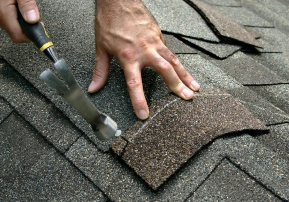 shingle roofing services